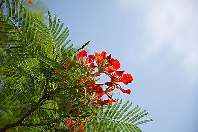 光谱资讯《电视梦工场》Steam页面 4月10日发售